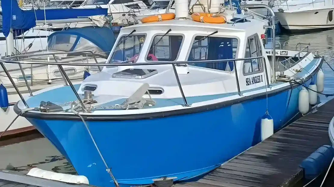 video image